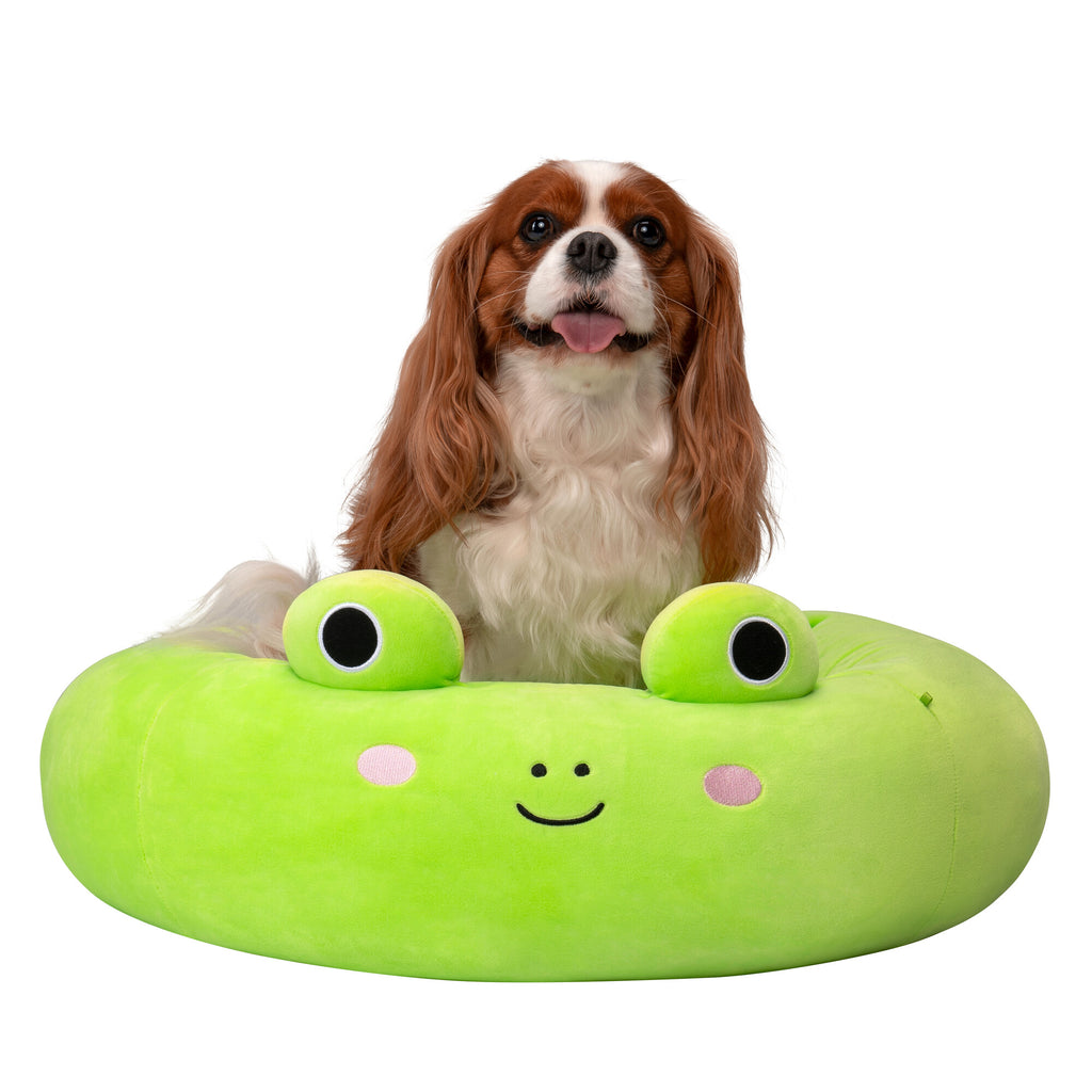 Squishmallows 24-Inch Wendy Frog Pet Bed - Medium Ultrasoft Official  Squishmallows Plush Pet Bed : : Pet Supplies