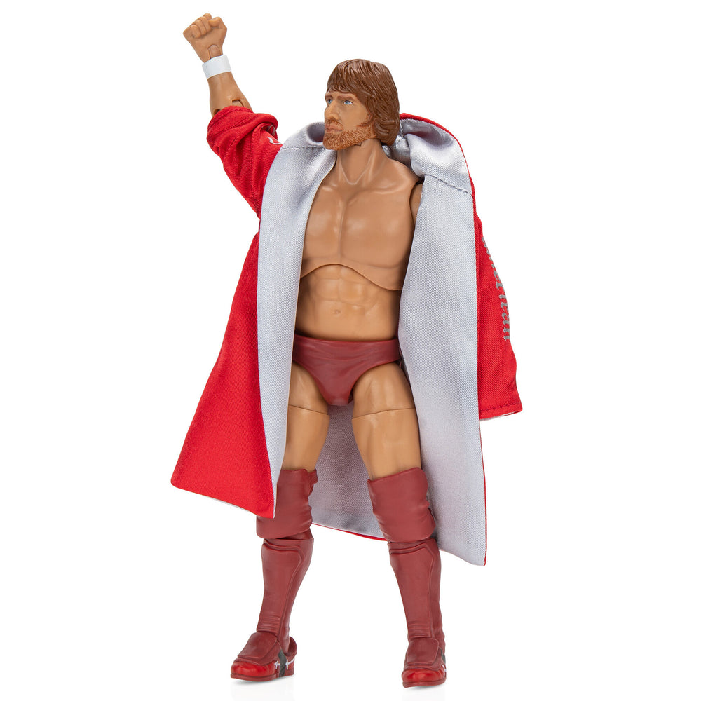 Ring of Honor Bryan Danielson - 1