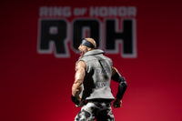 Ring of Honor 6-Inch Mark Briscoe Figure - 3