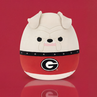University of Georgia 12-Inch Hairy Dawg - 1