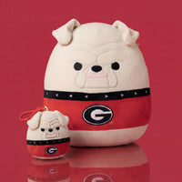 University of Georgia Hairy Dawg Plush Bundle Image