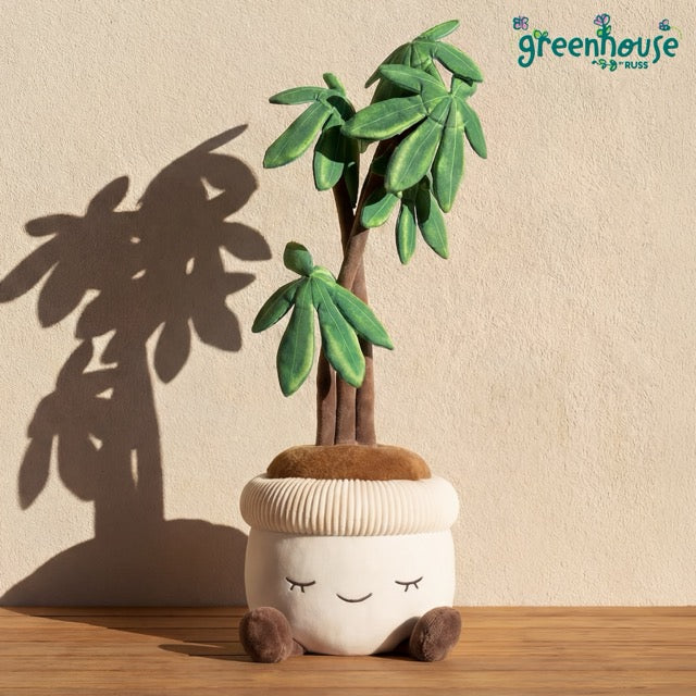 4 foot money tree Greenhouse by Russ 4 Feet Tall Money Tree Plush