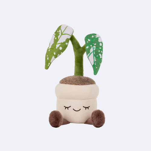 Greenhouse by Russ 12-Inch Grey Monstera Plant Plush Image