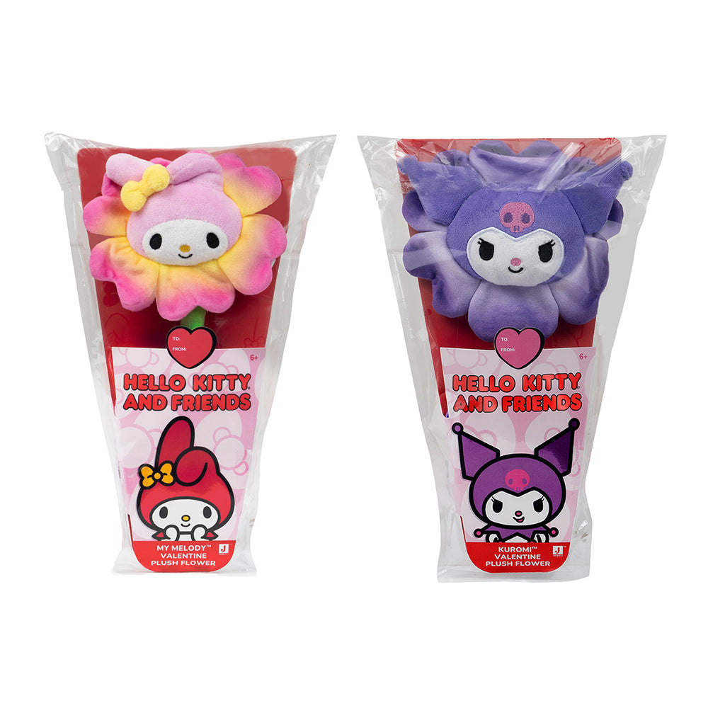 Hello Kitty and Friends 14