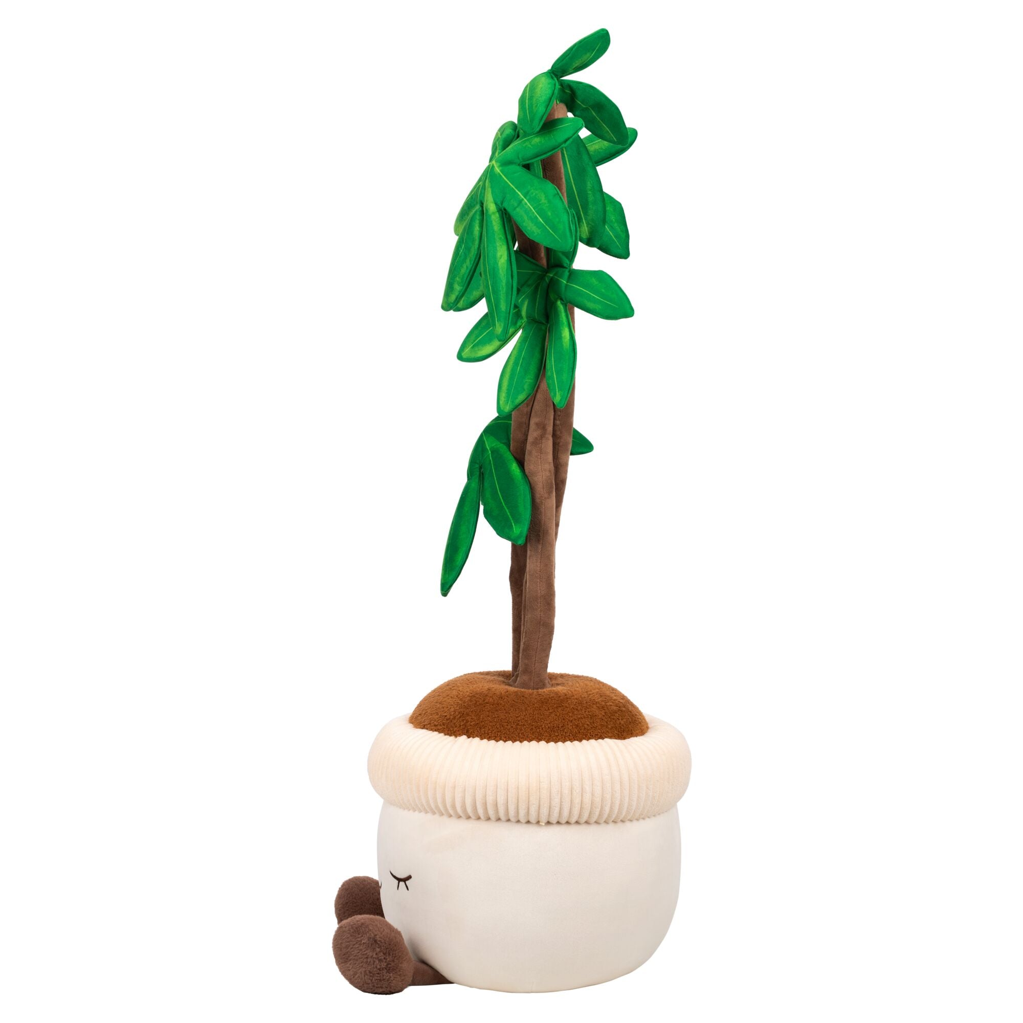 4 foot money tree Greenhouse by Russ 4 Feet Tall Money Tree Plush
