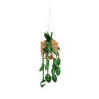 Greenhouse by Russ 8-Inch Hanging Plant with Flowers Plush - 3