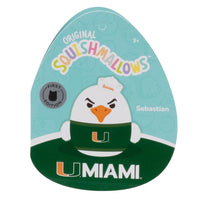 University of Miami 12-Inch Sebastian the Ibis - 5
