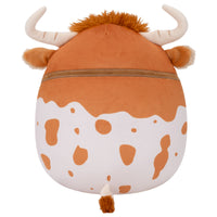 University of Texas 12-Inch Bevo XV - 4