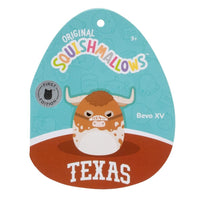 University of Texas 12-Inch Bevo XV - 5