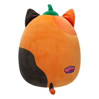 Pumpkin Cam - 4