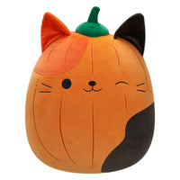 Pumpkin Cam - 0