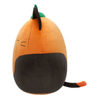 Pumpkin Cam - 3