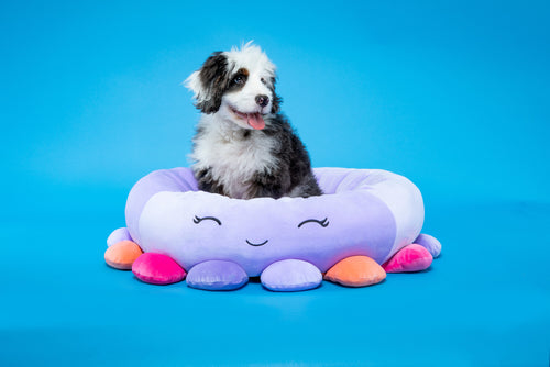 Squishmallows Pet Bed Beula the Octopus - Feeders Pet Supply