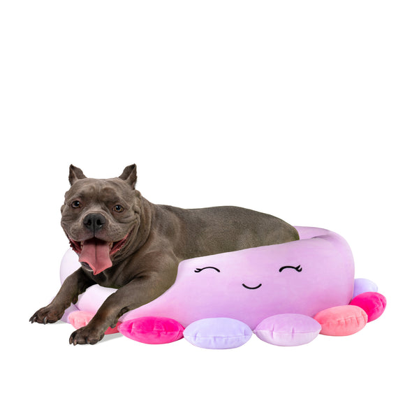 Squishmallows Pet Beds - Beula The Octopus | Jazwares