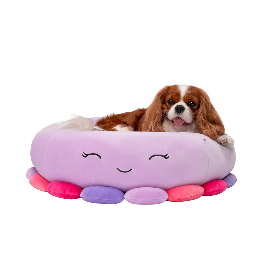 That new bed feeling! 🙌 Celebrate #SpoilYourDogDay with a new Squishmallows  pet bed for that special pet in your life! Available now on…