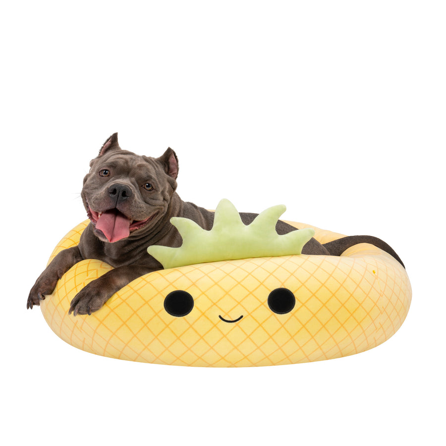 Pineapple bed clearance for dogs