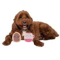 2-Pack Squeaky Plush Dog Toy (Cafe - Emery & Deja) - 9