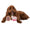 2-Pack Squeaky Plush Dog Toy (Cafe - Emery &amp; Deja) - 10