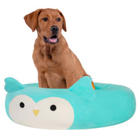 Winston the Owl Pet Bed - 7