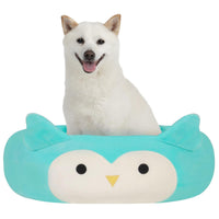 Winston the Owl Pet Bed - 6