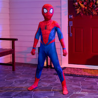 MARVEL Spider-Man Official Youth Deluxe Zentai Costume - 12
