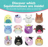 100 Inches of Squish 13-Pack Mystery Box - 1