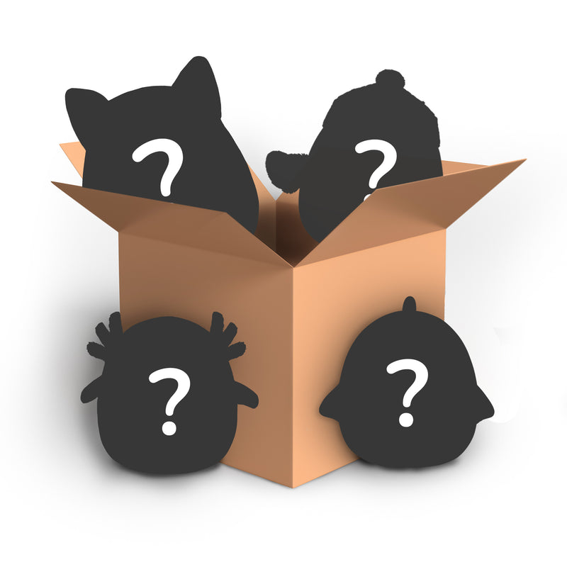 Mystery Box 4 Pack - 8 Inch