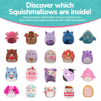 5-Inch Mystery Plush 5 Pack - 1