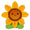 Sunflower Sunny - 1