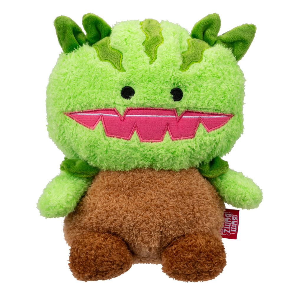 Venus Fly Trap Vinnie - 1