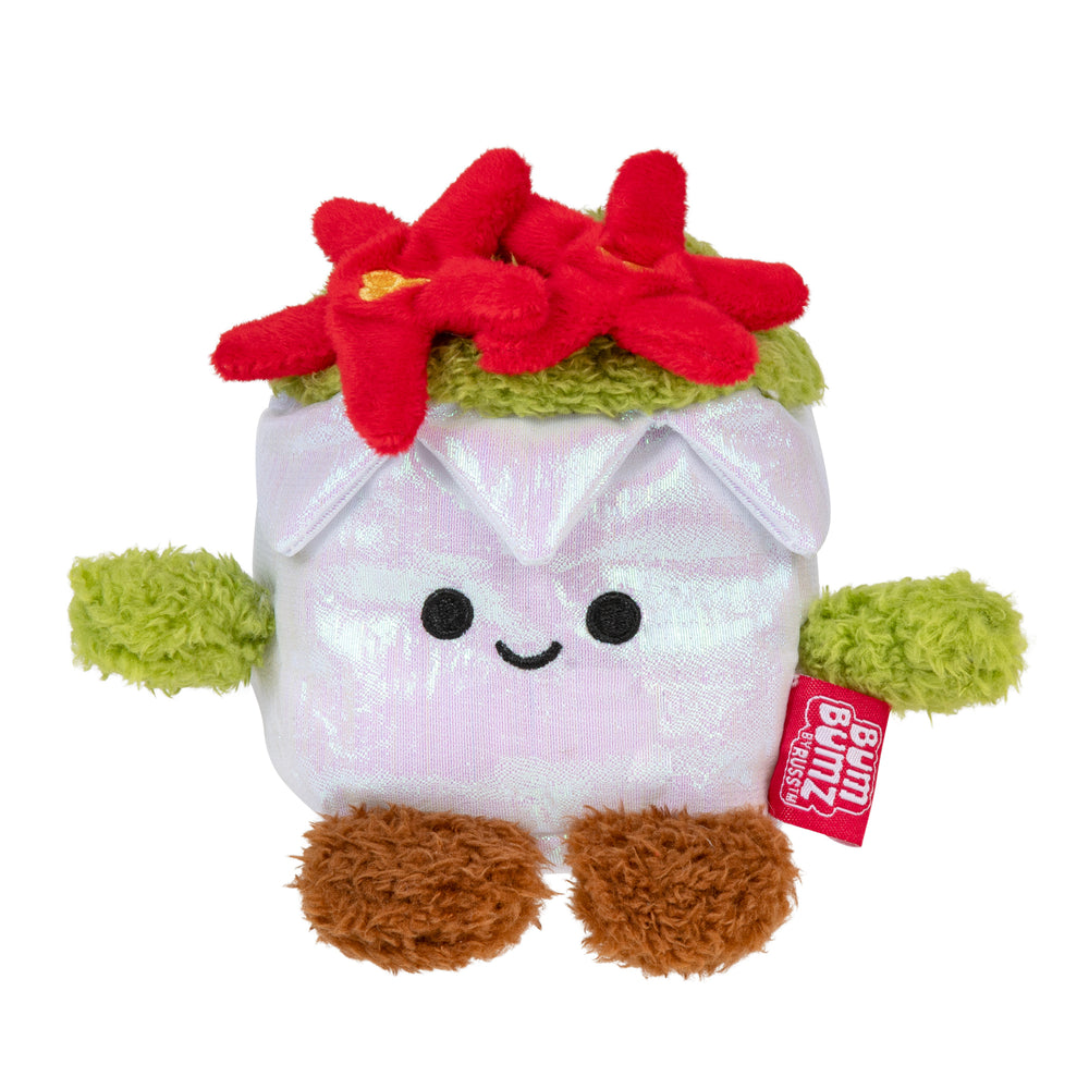 RBBZ - 4.5&quot; Poinsettia Ponti - 1
