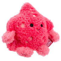 Starfish Sandrine - 1