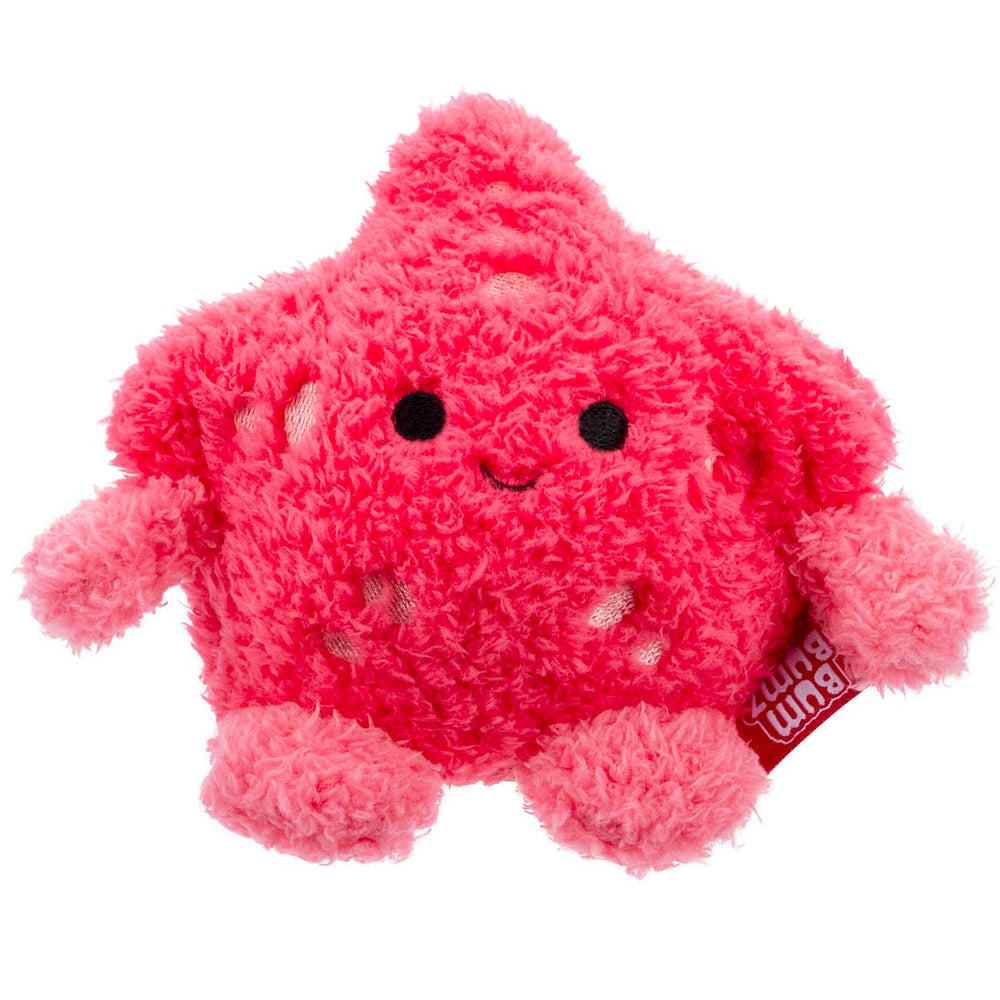 Starfish Sandrine - 1