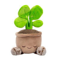 Greenhouse by Russ 12-Inch Pilea Plant Plush - 0