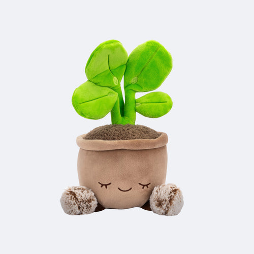 Greenhouse by Russ 12-Inch Pilea Plant Plush Image