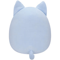 Jiovanne the Periwinkle Cat - 3