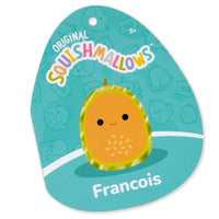 8-Inch Francois the Cantaloupe - 4
