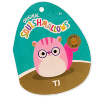 12-Inch TJ the Pink Squirrel with Glasses - 4