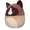 16-Inch Woodward the Brown and Tan Snowshoe Cat - 3
