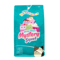 5-Inch Scented Mystery Bag - 0