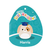 8-Inch Harris the Brown Spotted Dog in Graduation Cap - 4