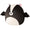 12-Inch Skyler the Black and White Skunk Bat - 2