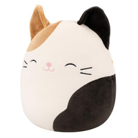 Cam the Calico Cat - 1