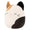 Cam the Calico Cat - 2
