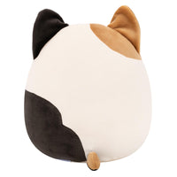 Cam the Calico Cat - 3