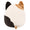 Cam the Calico Cat - 4