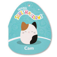 Cam the Calico Cat - 4