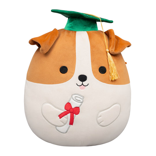 12-Inch Brenden the Jack Russell Terrier in Graduation Cap
