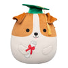 12-Inch Brenden the Jack Russell Terrier in Graduation Cap
