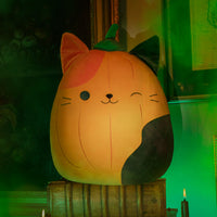 Pumpkin Cam - 1